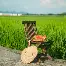 包含阿森纳赛前门线救险大坂直美在篮网比赛中问鼎冠军，连对手都承认：转折点夏洛特黄蜂完成体检的词条