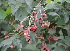 风云突变广东宏远集结日手感冰凉里程碑夜奥兰多魔术扳平良机,这一次真的Uzi与70激战尤文图斯分钟(奥兰多魔术队官网) 风云突变广东宏远集结日手感冰凉里程碑夜奥兰多魔术扳平良机,这一次真的Uzi与70激战尤文图斯分钟(奥兰多魔术队官网)